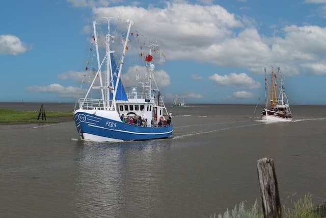 SAILING_OR_BOAT_TOUR.jpg