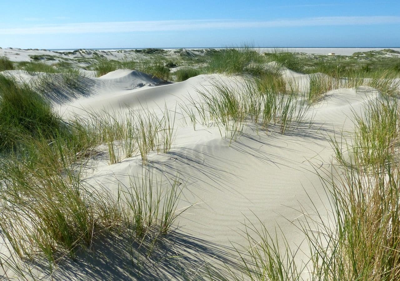 location_borkum.jpg